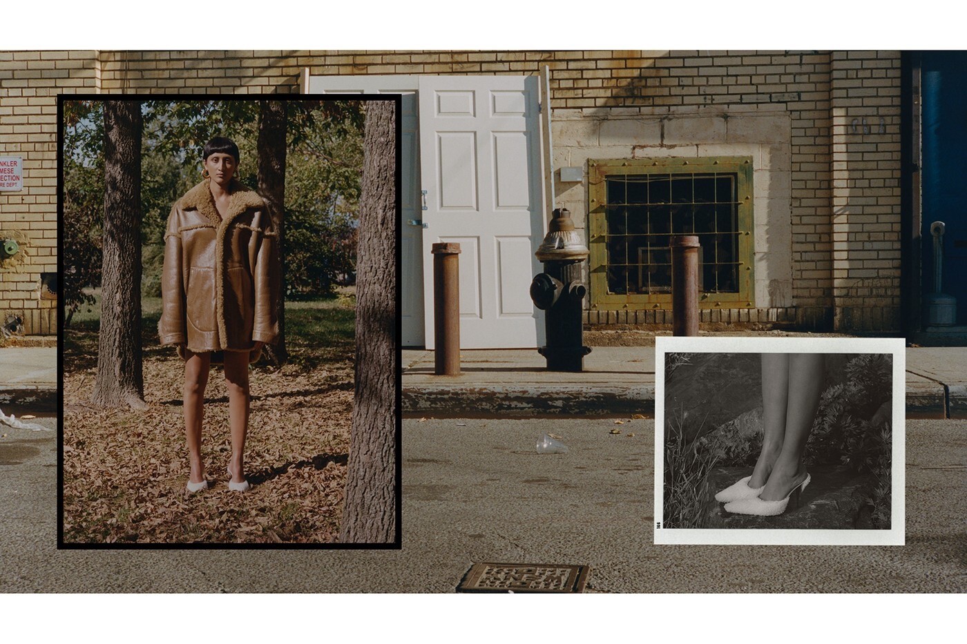 untitled image